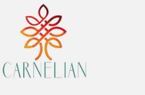 Carnelian Asset Management & Advisors logo
